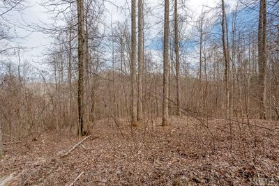 Lot 60 Pilot Knob Road, Home with 0 bedrooms, 0 bathrooms and null parking in Glenville NC | Image 2