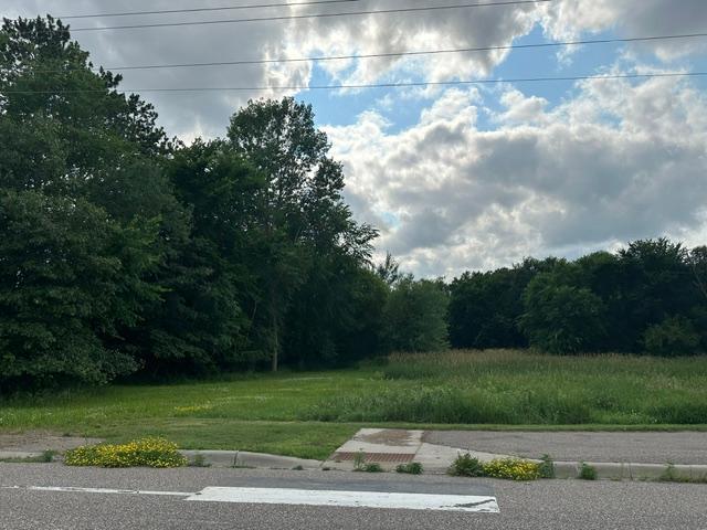 Land in Ham Lake 5