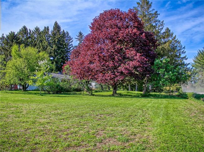 4 Bruce Hill Rd, House other with 3 bedrooms, 1 bathrooms and null parking in Spencer NY | Image 26