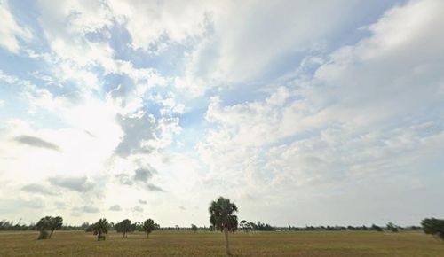 30 Calamondin Way, Placida, FL, 33946 | Card Image