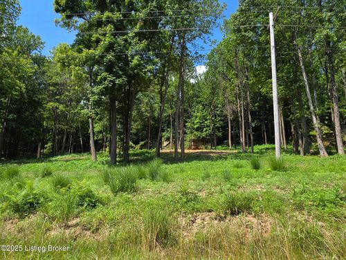 5 Cave Creek Rd, Falls Of Rough, KY, 40119-6413 | Card Image