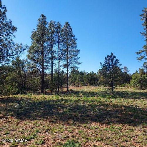 3122-3120, 3122 Whitetail Way, Overgaard, AZ, 85933-5456 | Card Image