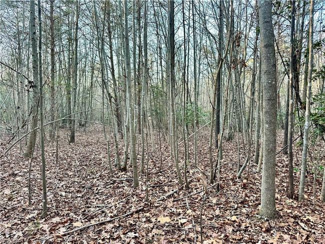 00 Farmstead Rd, Home with 0 bedrooms, 0 bathrooms and null parking in Seagrove NC | Image 24