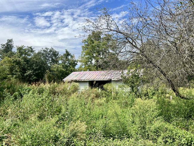 254 Isham Rd W, House other with 3 bedrooms, 2 bathrooms and 3 parking in Winfield TN | Image 47