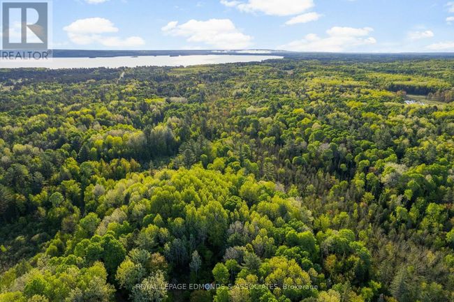 0 Sunrise Rd, Home with 0 bedrooms, 0 bathrooms and null parking in Killaloe ON | Image 6