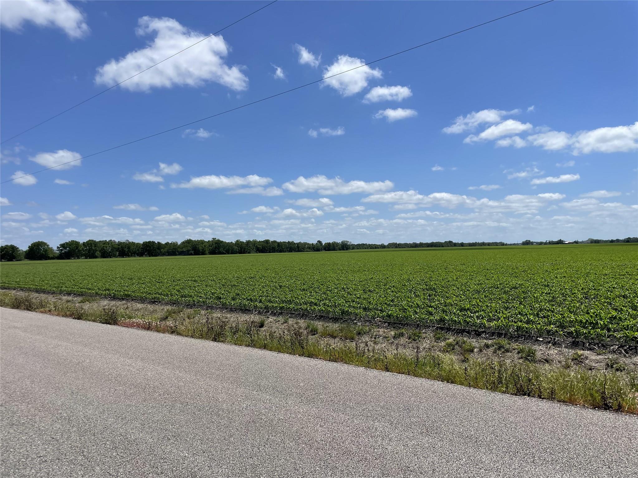 Farm in Damon 5