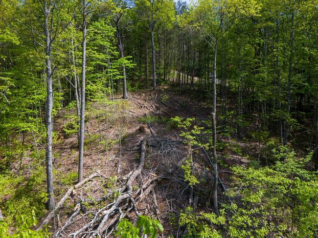 Lot 73 Mountain View Rd, Home with 0 bedrooms, 0 bathrooms and null parking in Ellijay GA | Image 10
