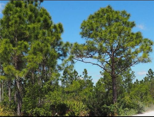 8329 Gewant Blvd, Punta Gorda, FL, 33982-2318 | Card Image