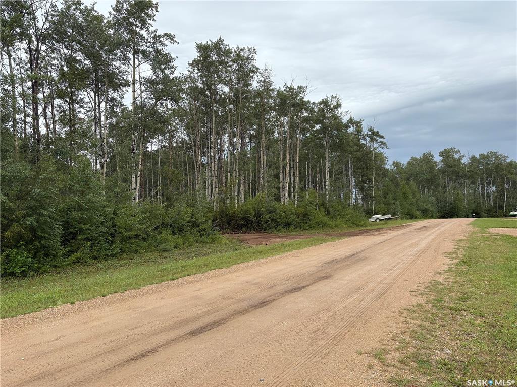 Land in Barrier Valley Rm No. 397 5