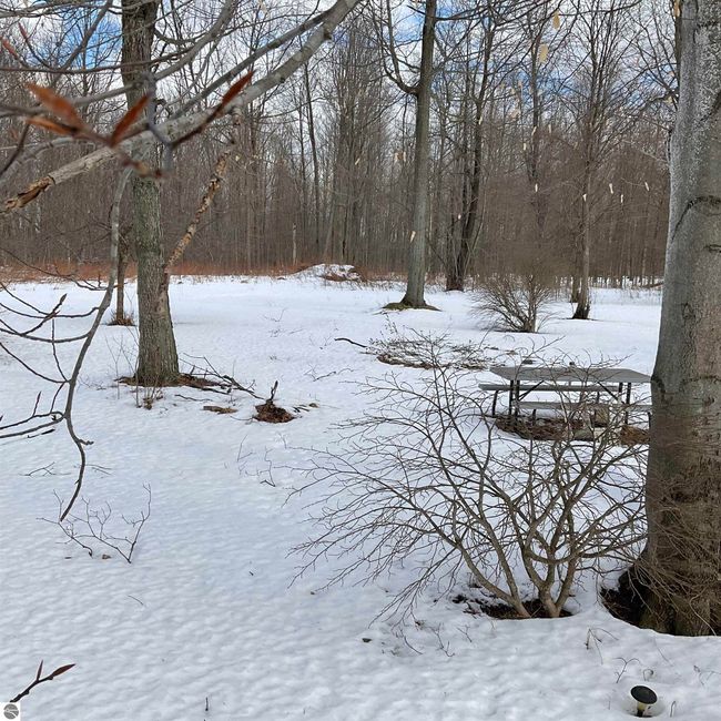 8815 S Young Rd, House other with 3 bedrooms, 2 bathrooms and null parking in Falmouth MI | Image 21