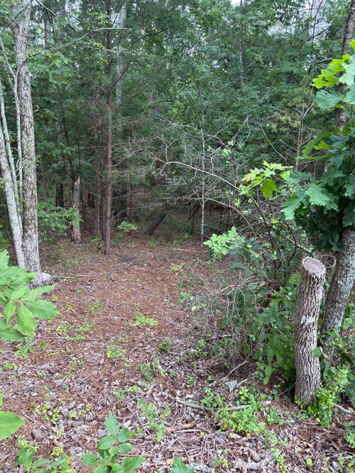 Lot 15 Overlook Pt, Mc Cormick, SC, 29835-2819 | Card Image