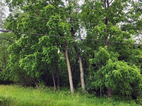 Lot 1573 Lake Wildwood Drive, Varna, IL, 61375 | Card Image