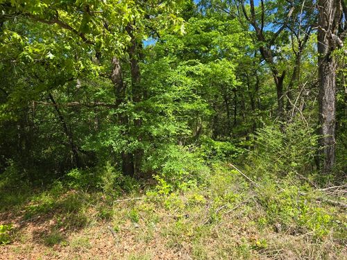 Lot 699 Shady Grove Rd, Mabank, TX, 75156 | Card Image