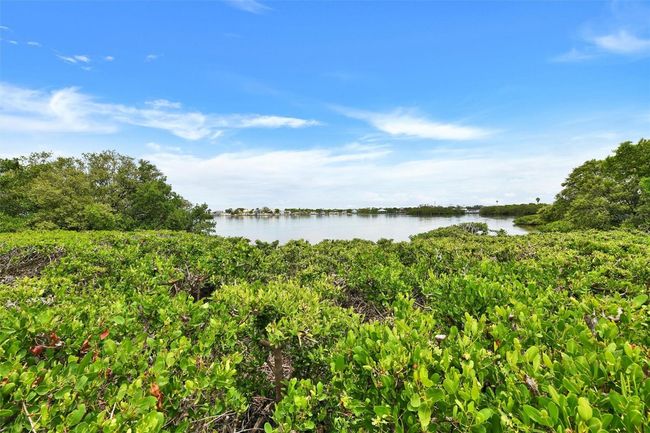 APT-544 - 2700 Bayshore Blvd, Townhouse with 3 bedrooms, 3 bathrooms and null parking in DUNEDIN FL | Image 69
