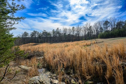 3 Old Rocky Trail, Rising Fawn, GA, 30738 | Card Image