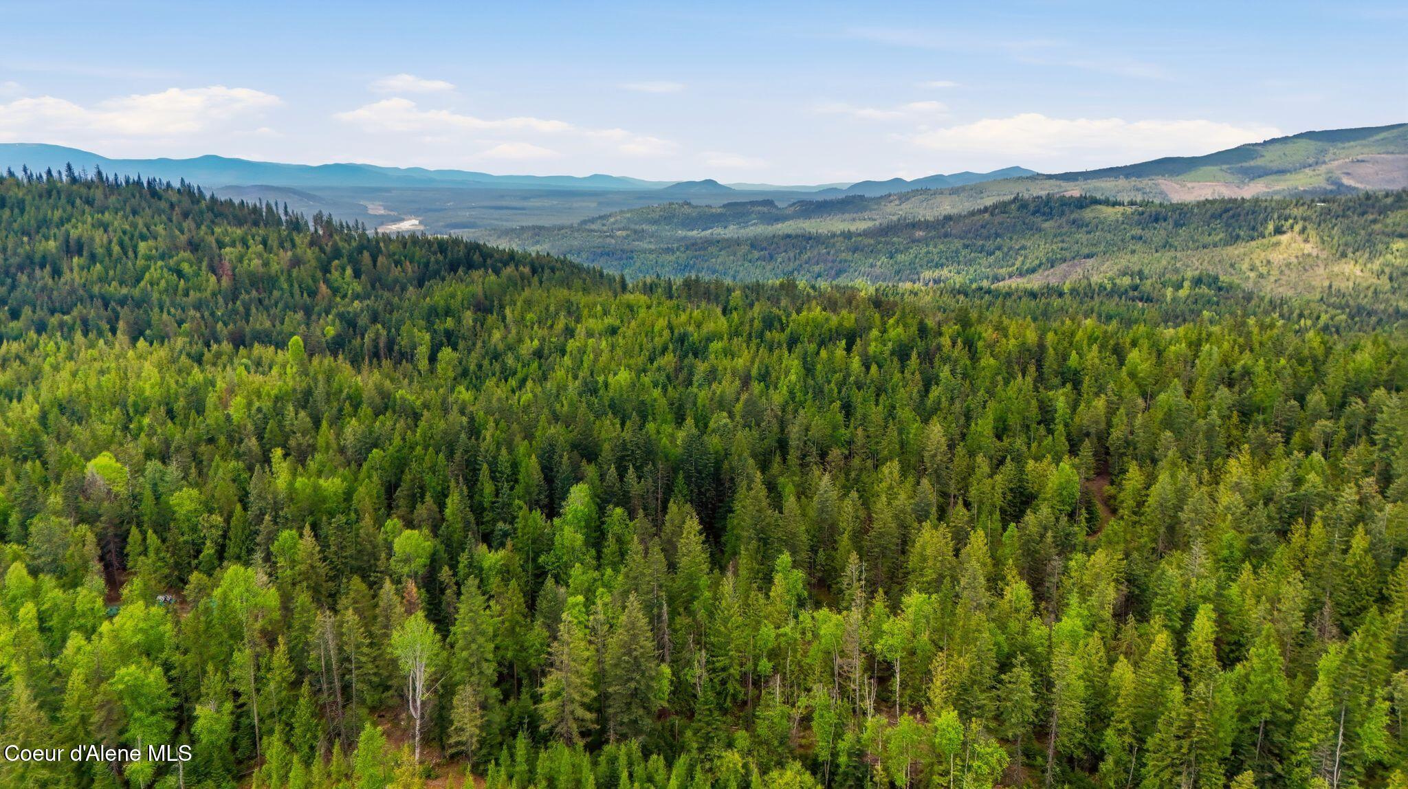 Land in Priest River 5
