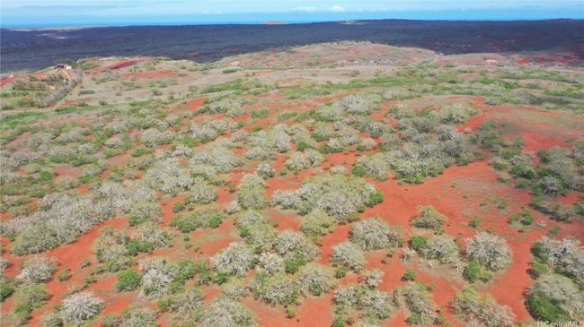 LOT-38 - 000 Kalua Koi Rd, Home with 0 bedrooms, 0 bathrooms and null parking in Maunaloa HI | Image 11