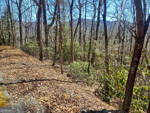 0 LOT 41 Pipetrack Gap Rd, Scaly Mountain, NC, 28775 | Card Image