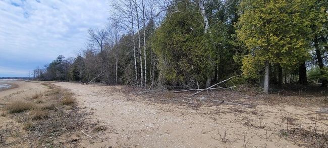 Lt0 E State Highway M35, Home with 0 bedrooms, 0 bathrooms and null parking in INGALLSTON MI | Image 7