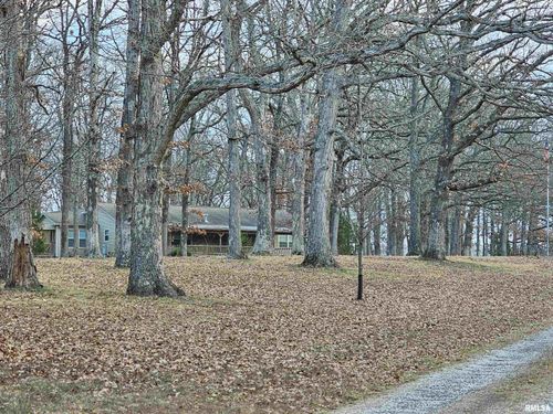 14228 N Paul Ln, Bluford, IL, 62814-4019 | Card Image