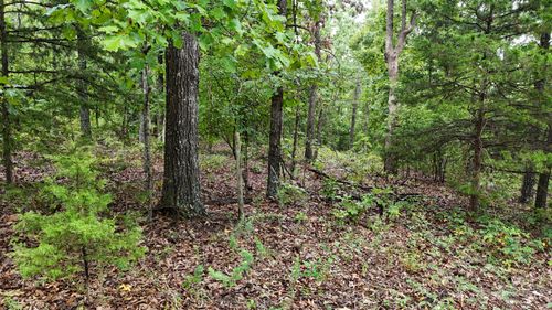 0000 County Road Jj-416, Ava, MO, 65608 | Card Image