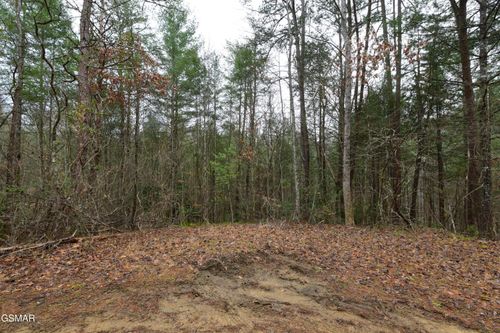 Lot 23 Alpine Ridge Way, Sevierville, TN, 37876-3912 | Card Image