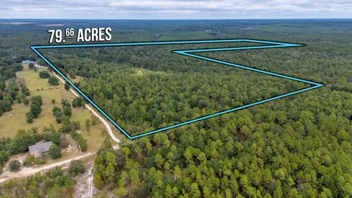 79 Bucking Up Rd, Laurel Hill, FL, 32567 | Card Image