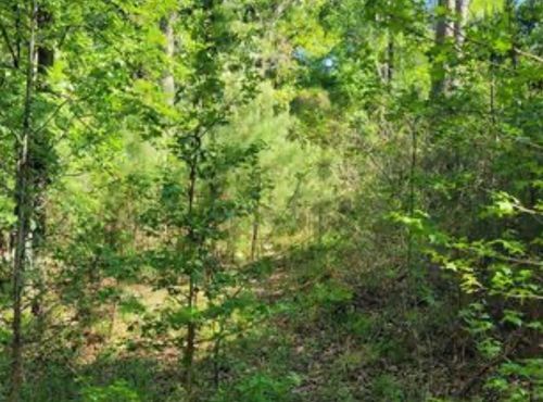 0 Winding Creek Dr, Trinity, TX, 75862 | Card Image