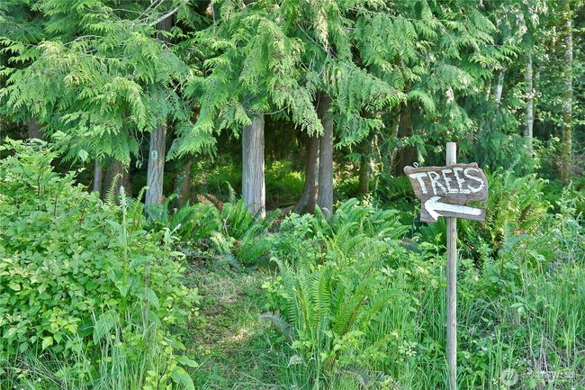2062 Goodell Rd, Home with 0 bedrooms, 0 bathrooms and null parking in Freeland WA | Image 18