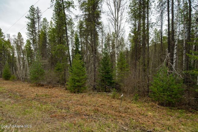 1813 Joyner Dr E, Home with 0 bedrooms, 0 bathrooms and null parking in Cusick WA | Image 38