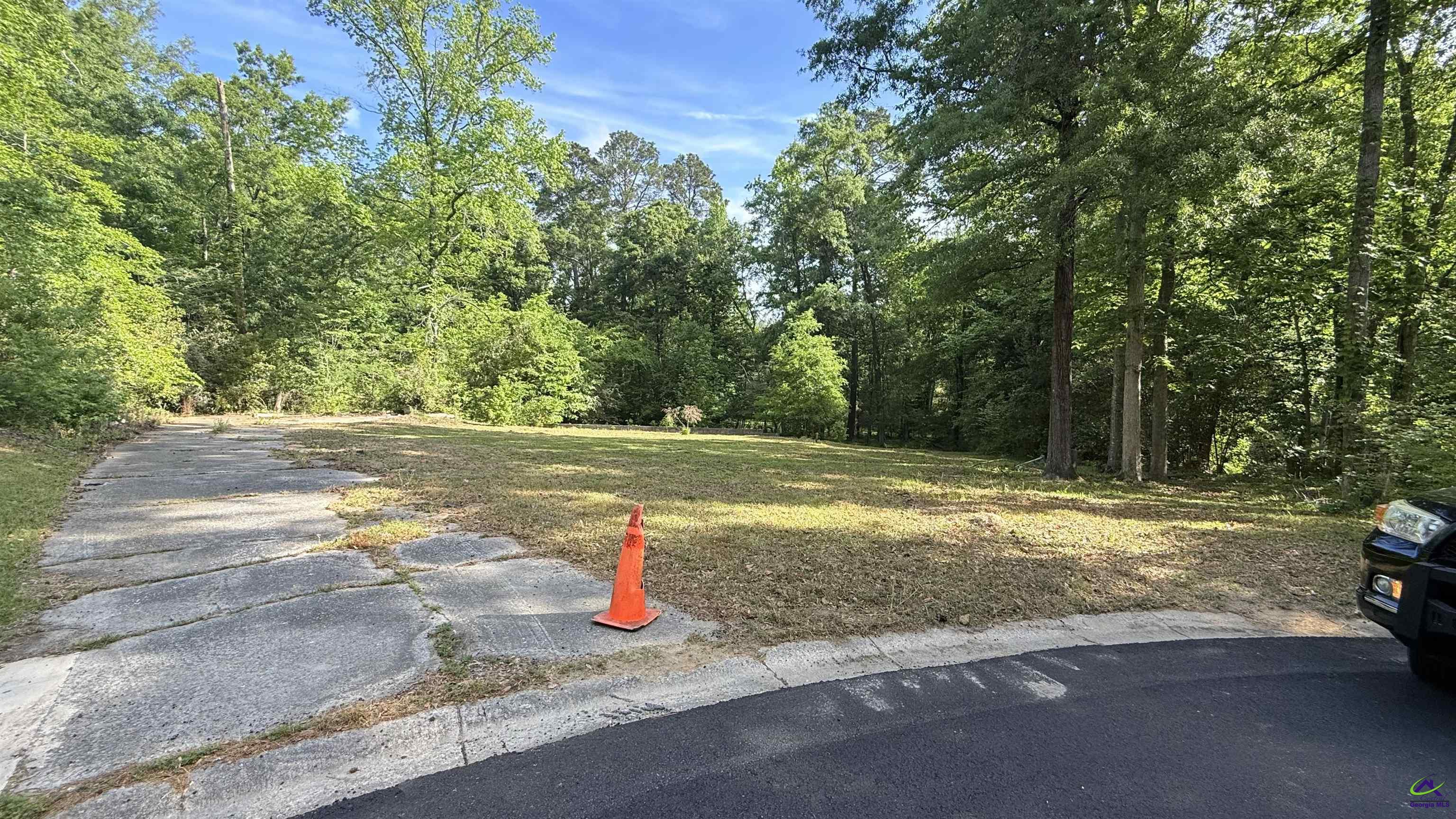 Land in Macon
