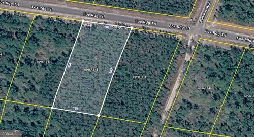 V/L 42 Fox Ridge Trail, Waynesville, GA, 31566 | Card Image