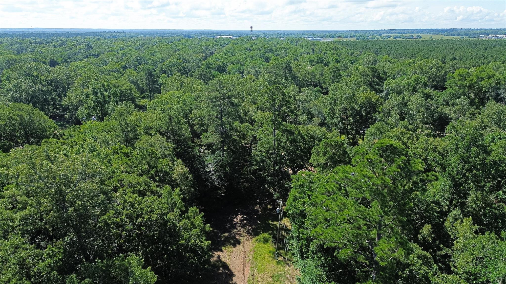 Land in Livingston 4
