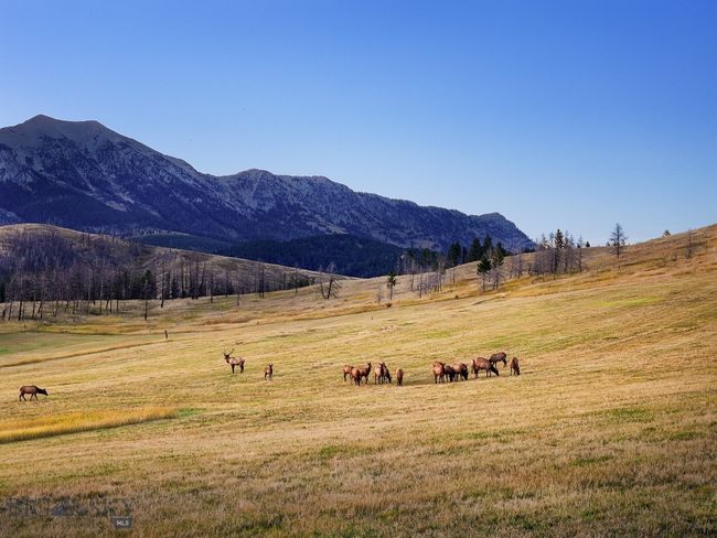 7180 Tepee Ridge Rd, House other with 3 bedrooms, 3 bathrooms and null parking in Bozeman MT | Image 5