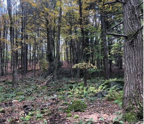 126 Devany Rd, Ferndale, NY, 12734-6802 | Card Image