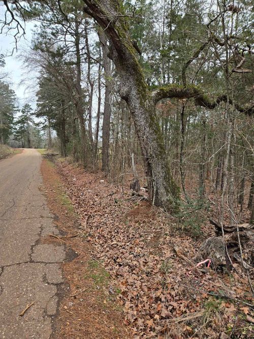 0000 Cr 3206 (23.91acres), Laneville, TX, 75667 | Card Image