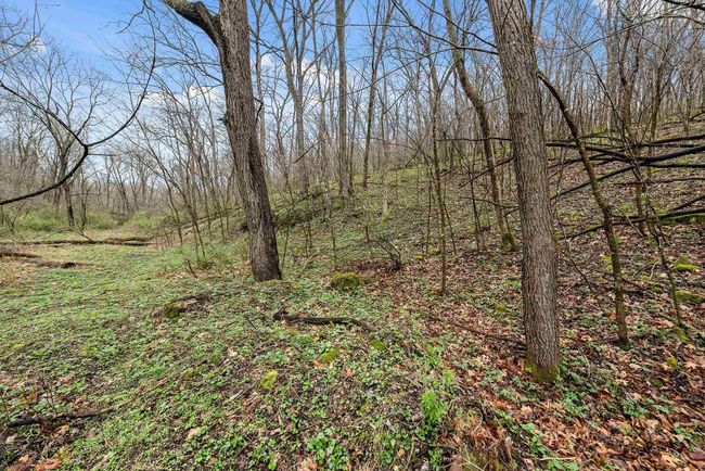 36480 Bouska Rd, Home with 0 bedrooms, 0 bathrooms and null parking in Prairie Du Chien WI | Image 31