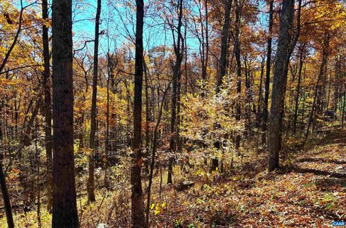 107 Firtree Dr, WINTERGREEN RESORT, VA, 22967-8107 | Card Image