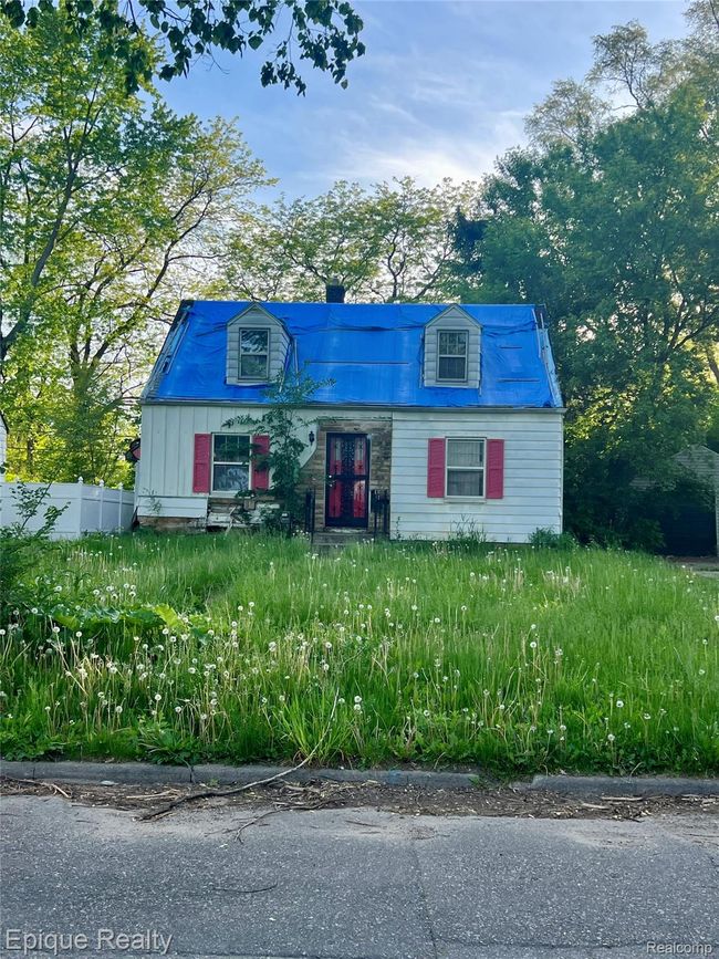 IMG_3390.jpeg | Image 4