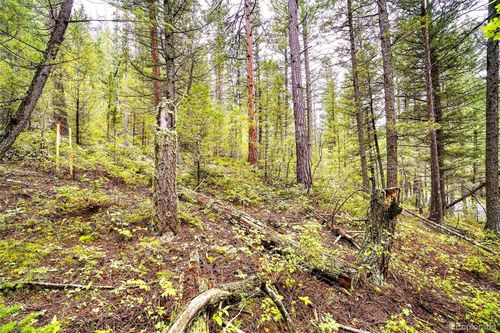 10862-10872 Twin Spruce Rd, Golden, CO, 80403-7318 | Card Image