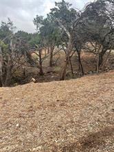 Land in Lago Vista 5