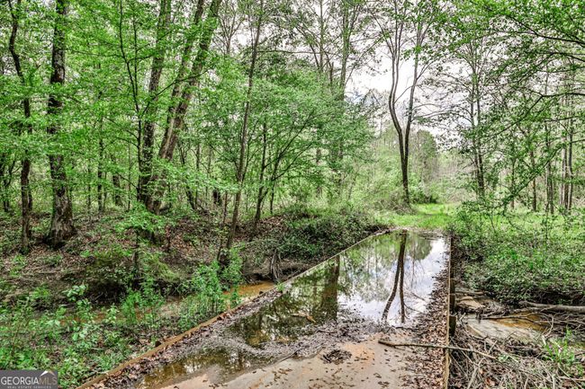 0 Kemp Rd, Home with 0 bedrooms, 0 bathrooms and null parking in Buena Vista GA | Image 13