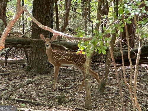 0 Oak Trce E, Jasper, GA, 30143 | Card Image