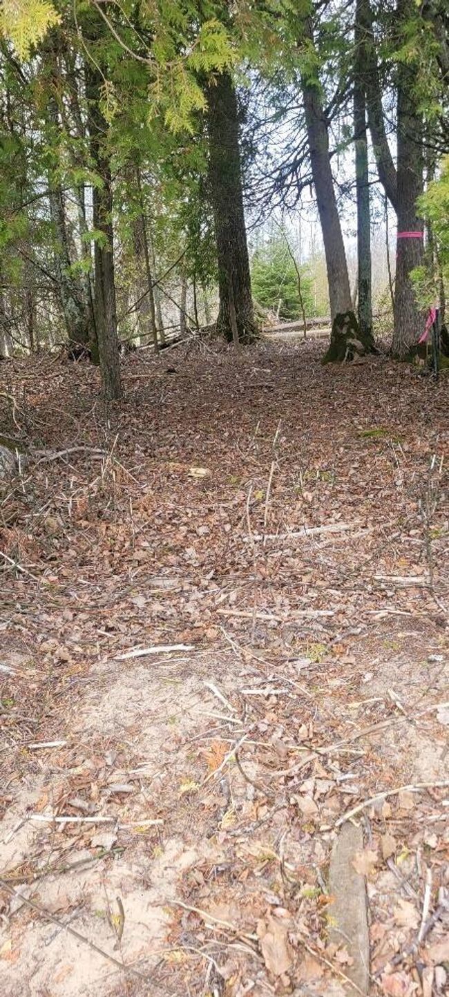Lt0 E State Highway M35, Home with 0 bedrooms, 0 bathrooms and null parking in INGALLSTON MI | Image 13