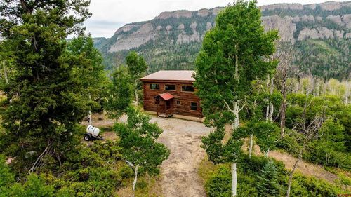 8009 Cr-864, Cimarron, CO, 81220 | Card Image