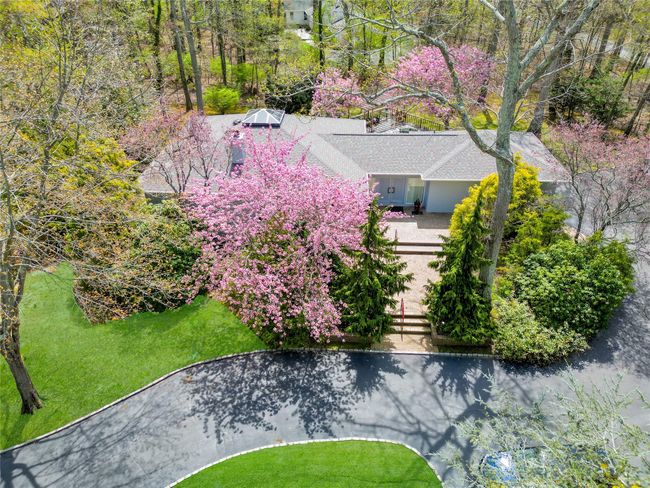 Bird's eye view | Image 39