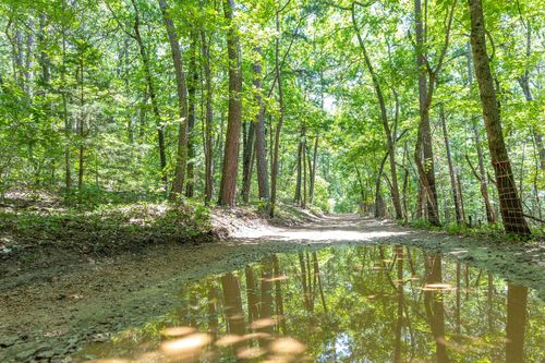 Tbd 40 Ravenwood Way, Ridgedale, MO, 65739 | Card Image