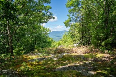 0 West Hill Road South, Home with 0 bedrooms, 0 bathrooms and null parking in Jamaica VT | Image 2