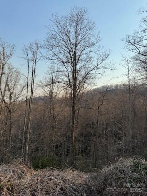 910 Morgan Hill Rd, Black Mountain, NC, 28711-9635 | Card Image