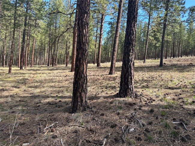 31760 Old Highway 10 W, Home with 0 bedrooms, 0 bathrooms and null parking in Alberton MT | Image 26
